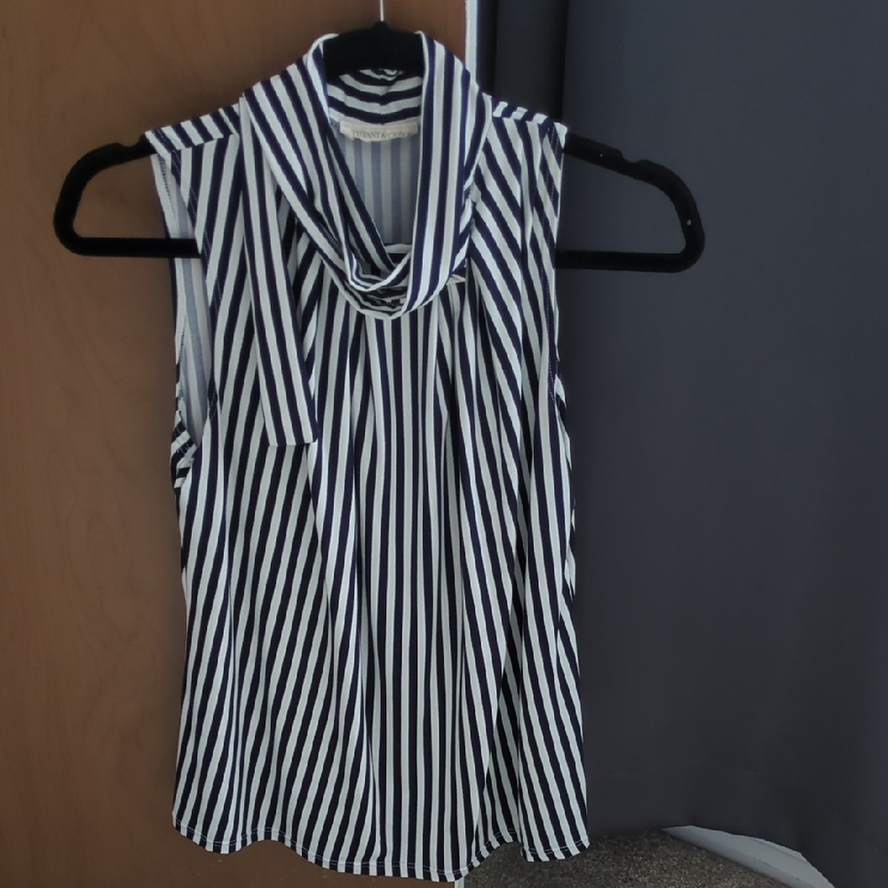 Navy and White Striped Cowl Neck Blouse